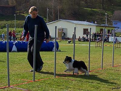 Agility v Lokti (2007)