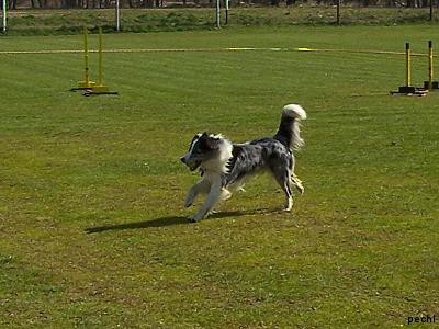 Agility v Lokti (2007)