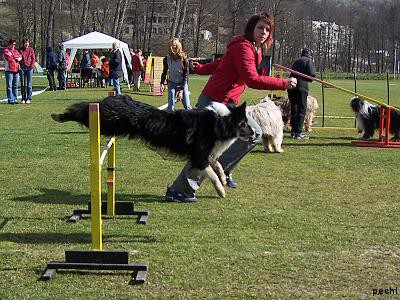 Agility v Lokti (2007)