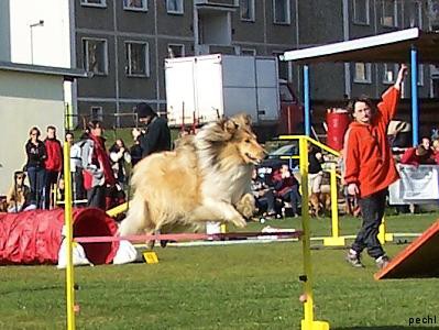 Agility v Lokti (2007)