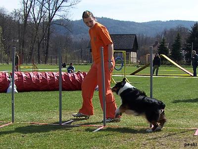 Agility v Lokti (2007)