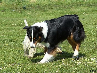 Agility v Lokti (2007)