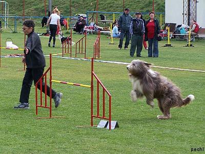 Agility v Lokti (2007)