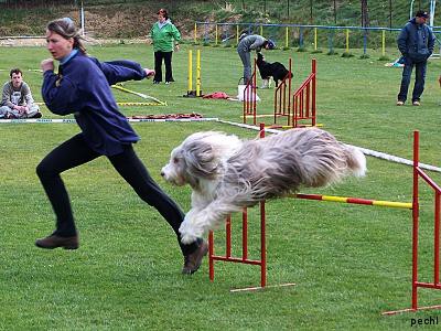 Agility v Lokti (2007)