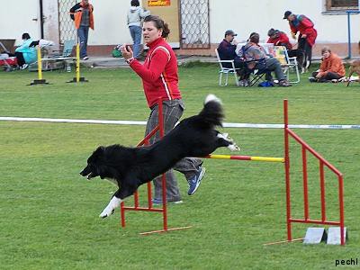 Agility v Lokti (2007)