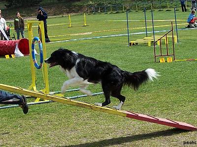 Agility v Lokti (2007)