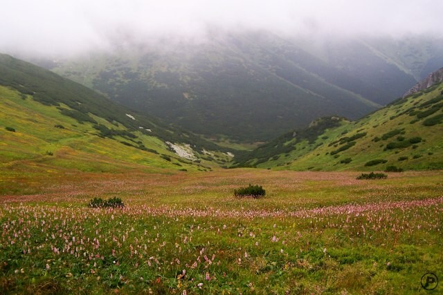 Belianské Tatry