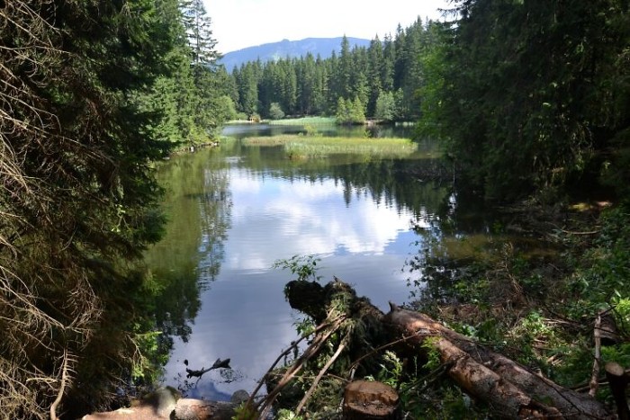 Nízké Tatry