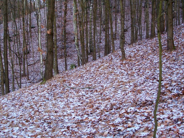 Okolí Lokte v několika obrazech