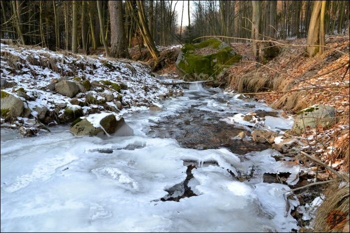 Proměny Supího potoka